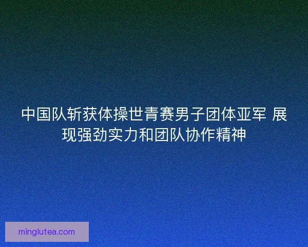 中国队斩获体操世青赛男子团体亚军 展现强劲实力和团队协作精神