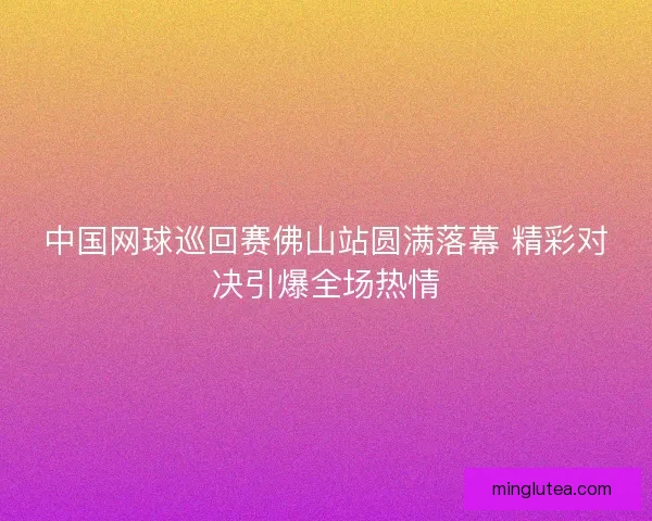 中国网球巡回赛佛山站圆满落幕 精彩对决引爆全场热情