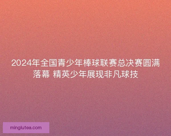 2024年全国青少年棒球联赛总决赛圆满落幕 精英少年展现非凡球技