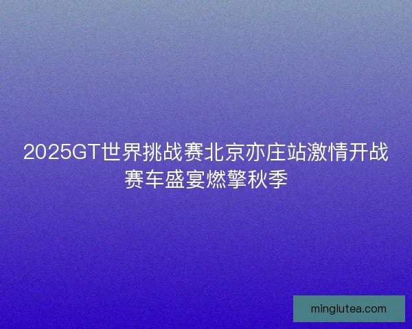 2025GT世界挑战赛北京亦庄站激情开战赛车盛宴燃擎秋季