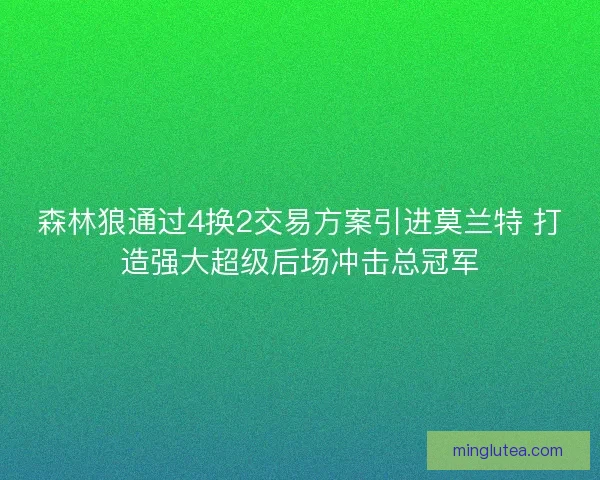 森林狼通过4换2交易方案引进莫兰特 打造强大超级后场冲击总冠军
