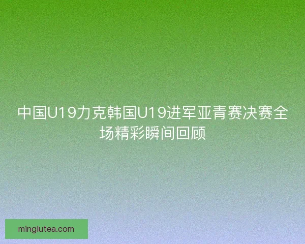 中国U19力克韩国U19进军亚青赛决赛全场精彩瞬间回顾