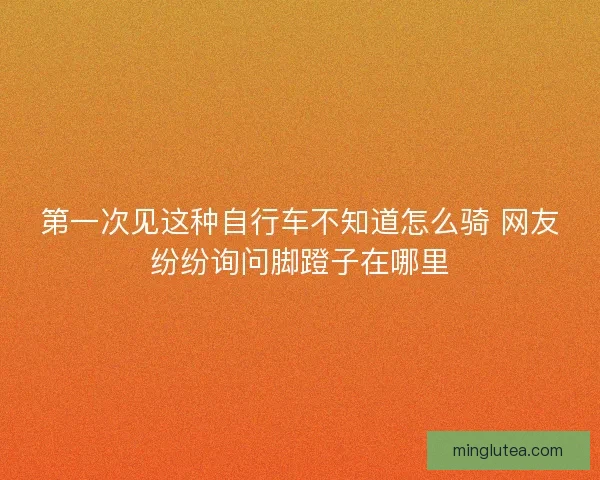 第一次见这种自行车不知道怎么骑 网友纷纷询问脚蹬子在哪里