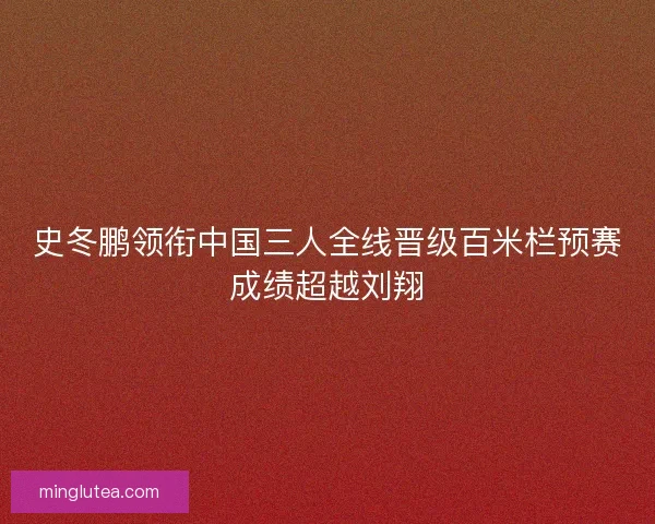 史冬鹏领衔中国三人全线晋级百米栏预赛成绩超越刘翔