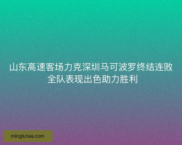 山东高速客场力克深圳马可波罗终结连败 全队表现出色助力胜利