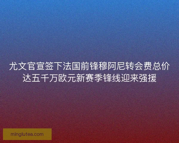 尤文官宣签下法国前锋穆阿尼转会费总价达五千万欧元新赛季锋线迎来强援