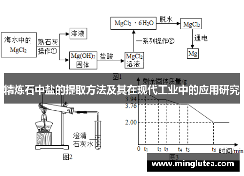 精炼石中盐的提取方法及其在现代工业中的应用研究