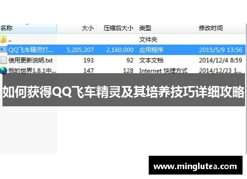 如何获得QQ飞车精灵及其培养技巧详细攻略